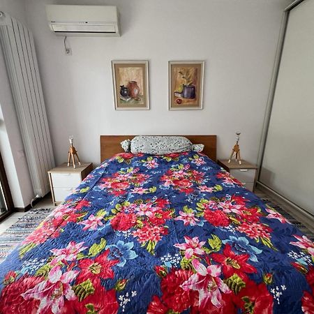 Kazanlak Large Guest House Apartment Near The Center With Full Kitchen & Dining Room, King Beds, Garden Patio, Free Parking & Self Check-In المظهر الخارجي الصورة